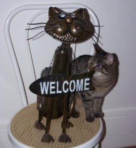 welcome