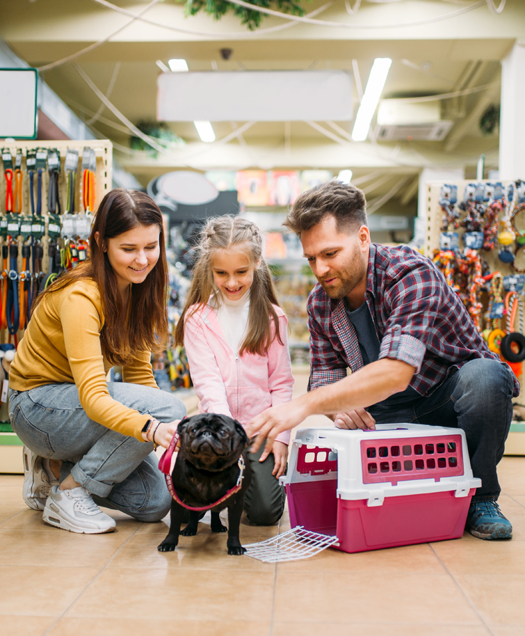 Conseils veterinaires pour la sante de votre animal de compagnie