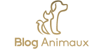 blog-animaux