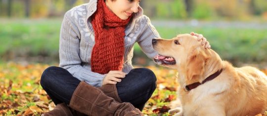 bases de l'education canine