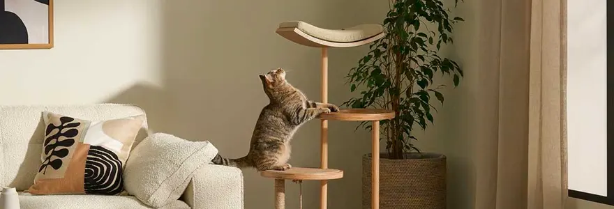 comment entretenir un arbre a chat